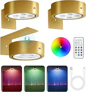 3-Pack Picture Lights for Wall, 13 RGB Color Changing Led Art Display Li...