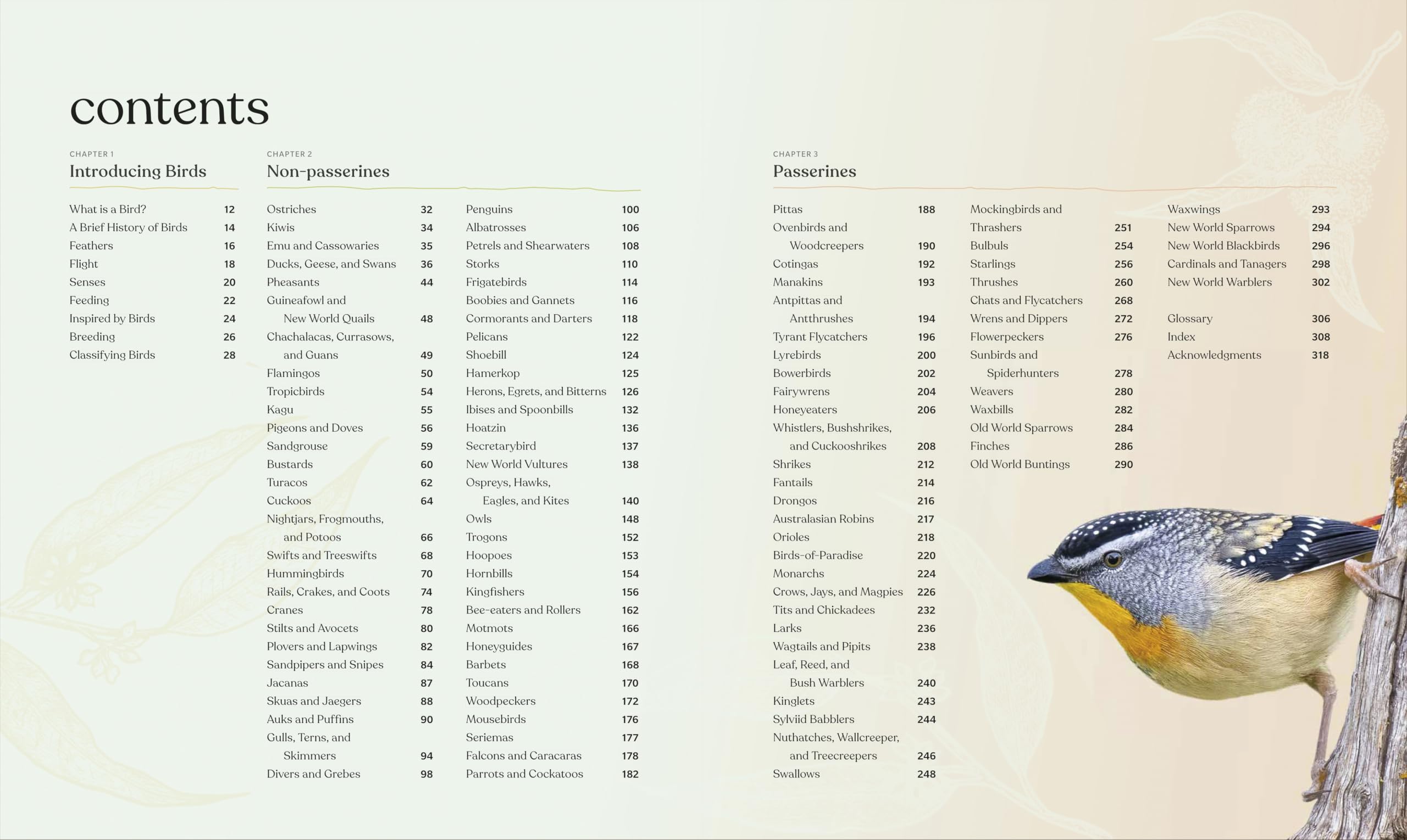 The Bird Book: The Stories, Science, and History of Birds