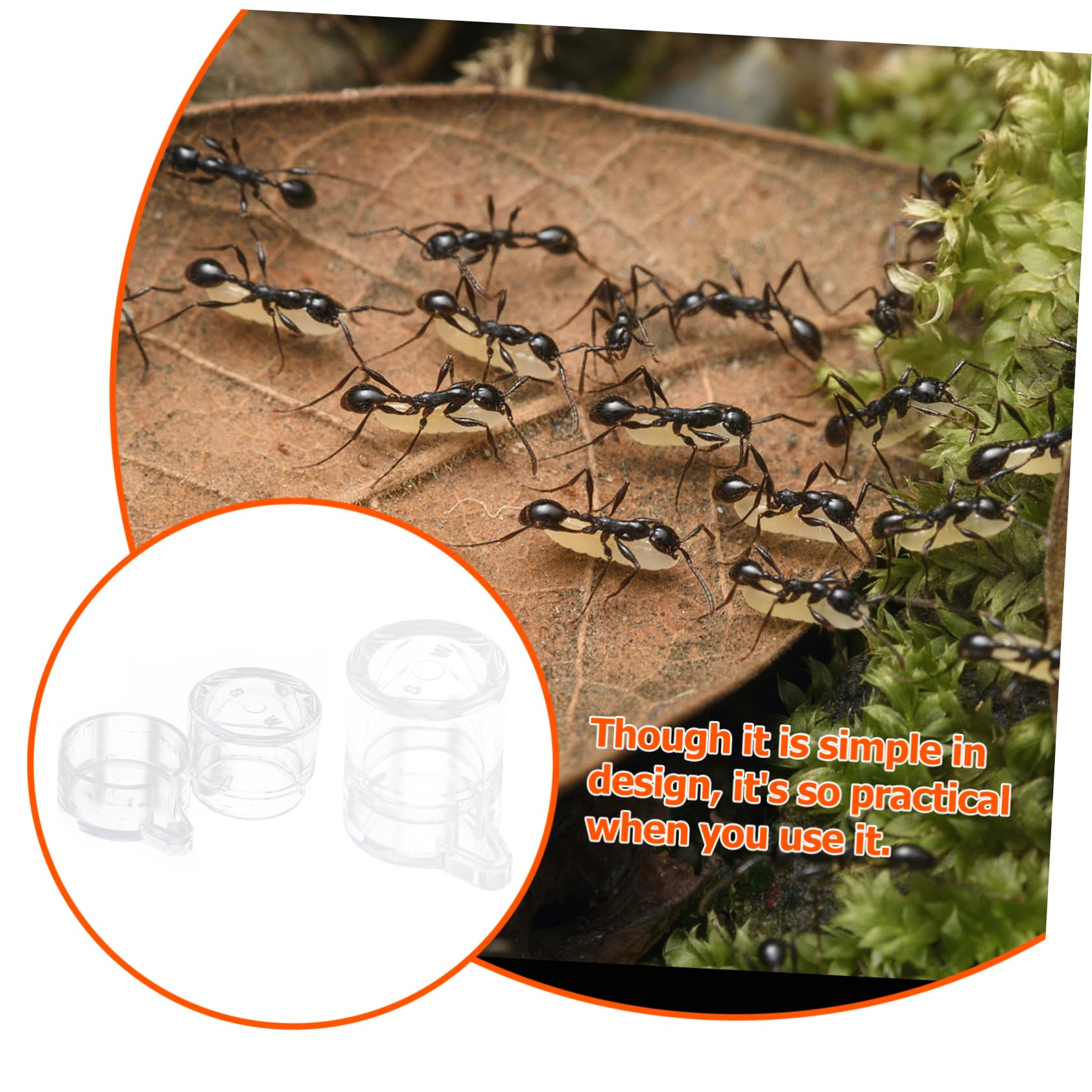 2pièces Gamelles à Eau pour Fourmis Acrylique Mangeoires pour Nid De Fourmis Abreuvoirs Transparents avec Port d Alimentation Séparé