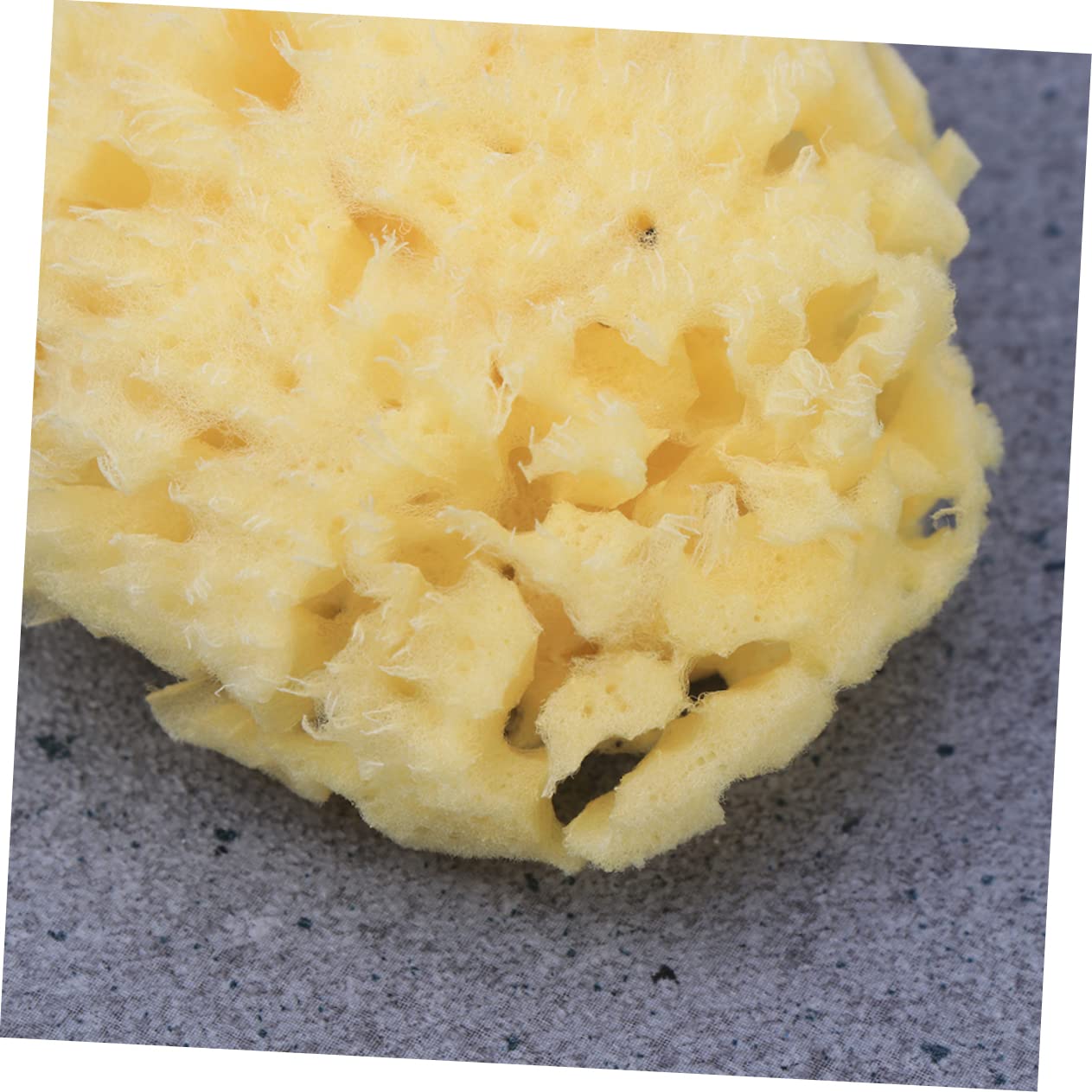 FRCOLOR 3piezas Esponja Natural De Para y Absorbente Para Bebés y Adultos Exfoliación y Limpieza Efectiva