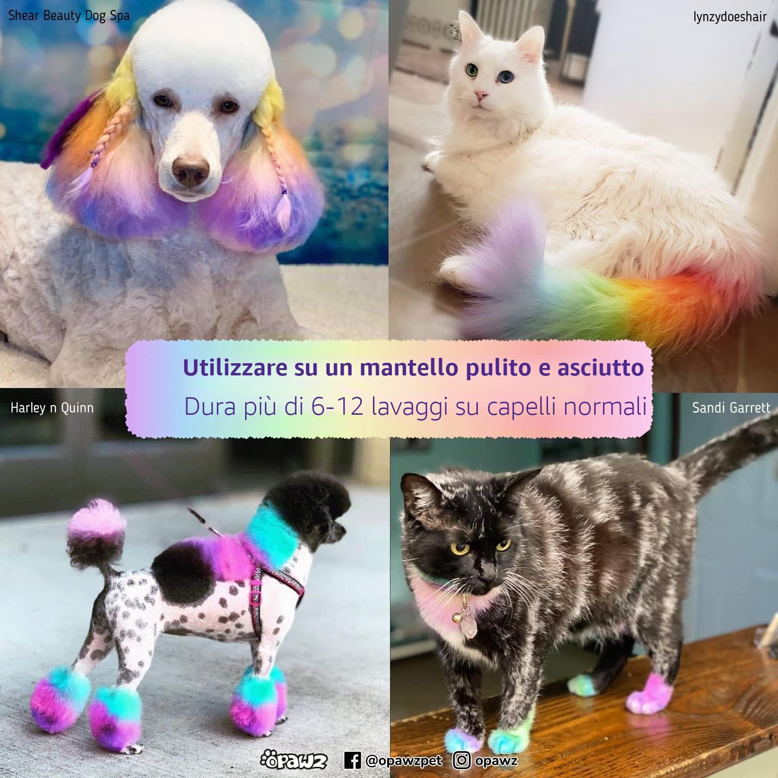 OPAWZ Semi-Permanente Tintura per Cani, Pigmenti Alimentare, Professionale Colorante per Cani, Gatti e Tutti gli Animali che Possono Essere Lavati (Shocking Rosa)