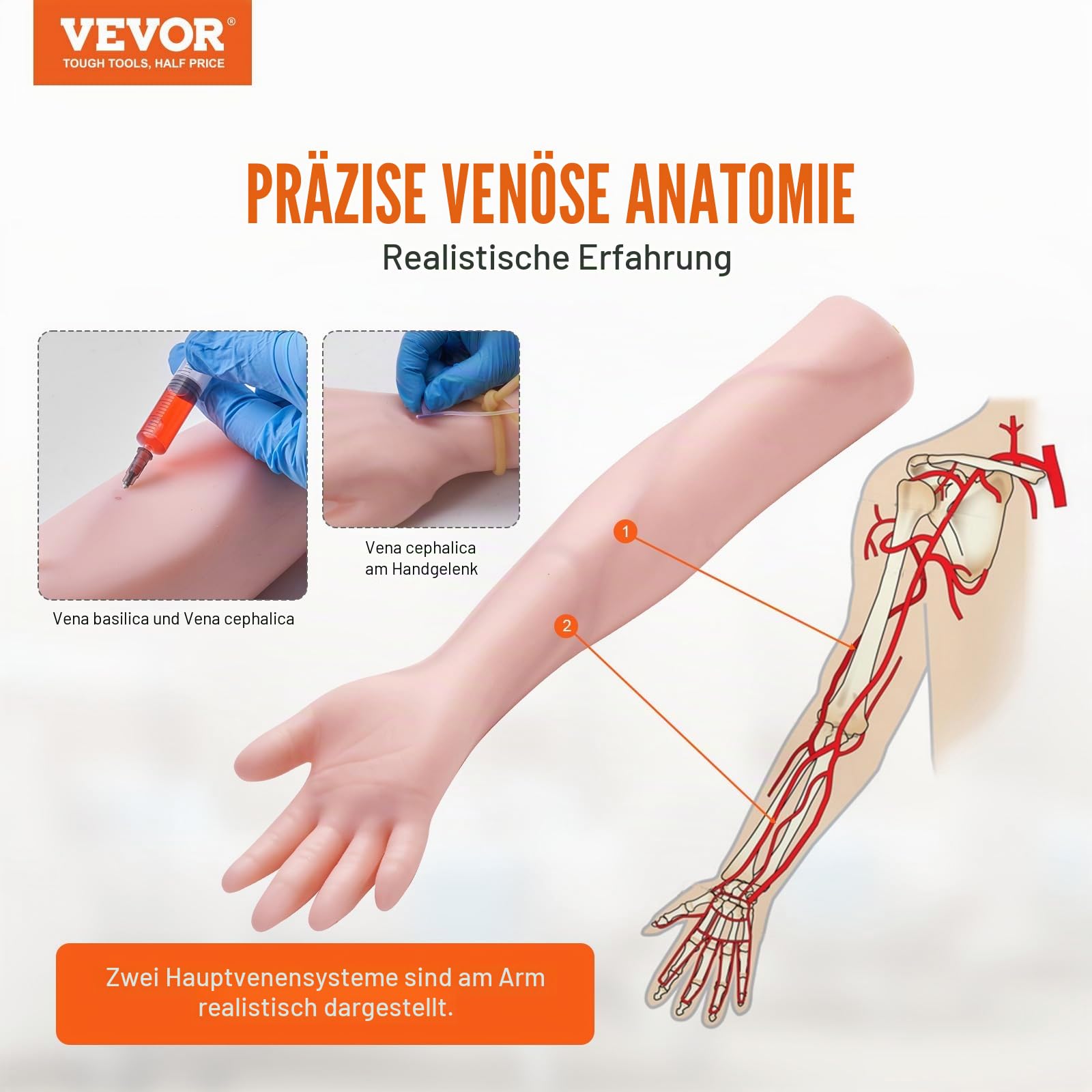 VEVOR Phlebotomie-Kit,IV Intravenous Practice Arm Vein Puncture Training Medizinisches Modell PVC Material für Medizin- und Pflegestudenten Phlebotomie-Arm-Praxis-Kit (NUR FÜR AUSBILDUNGSZWECKE)