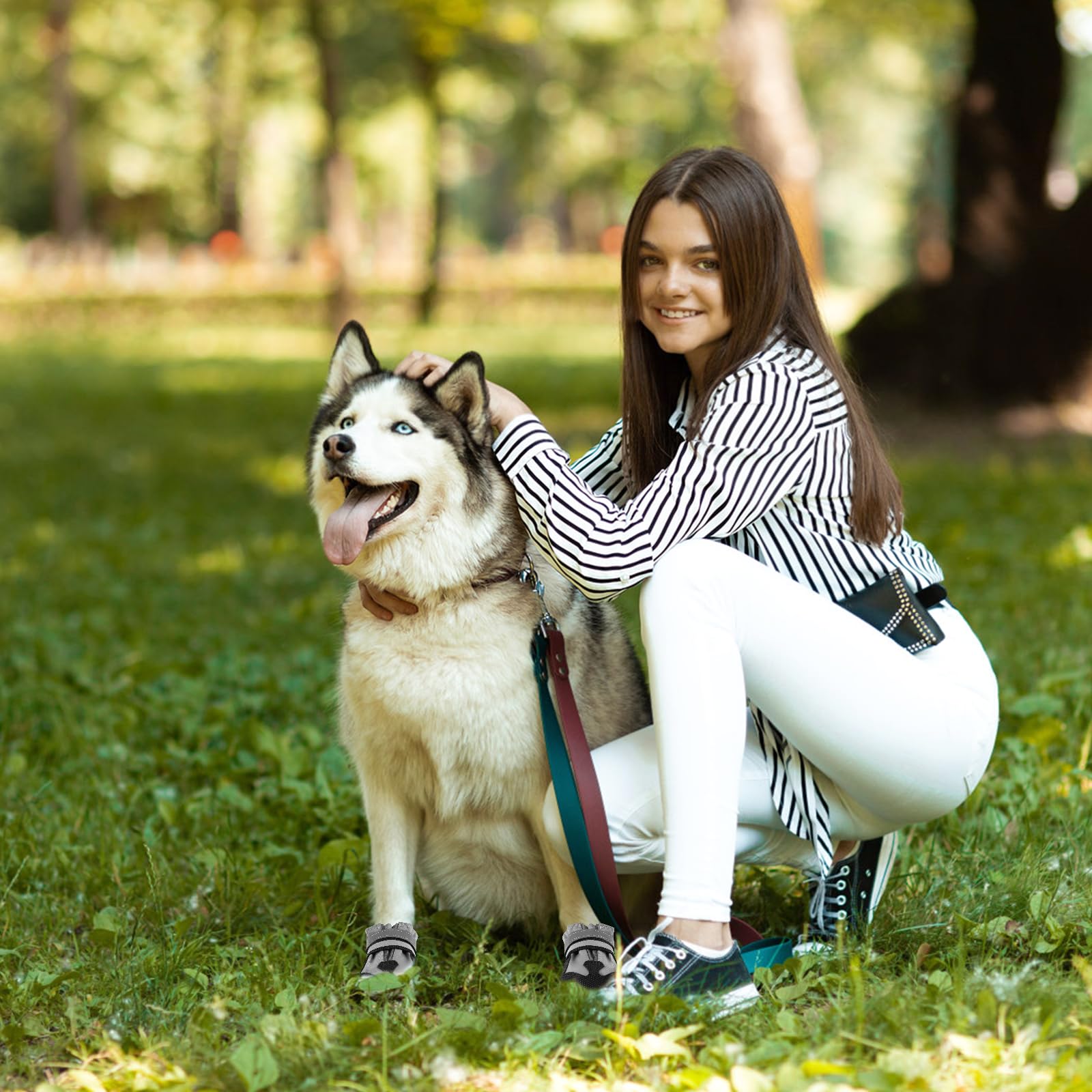 4 Bottes pour Chien Imperméables et Ajustables avec Bandes Réfléchissantes - Protection des Pattes pour Petit, Moyen et Grand Chien