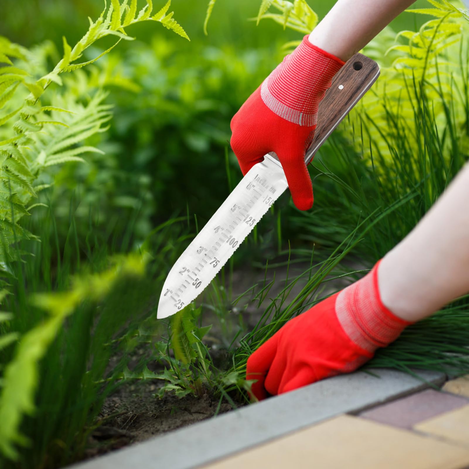 Transplantoir De Jardin | avec Manchette de Protection pour Déterrer et Couper - Pelle À Main De Jardin - pour Fête des Mères Anniversaire Noël Femmes Hommes Personnes Âgées Adultes Et