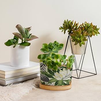 Amazon.com: BRUYU5SE Green and White Chinoiserie Floral Planter