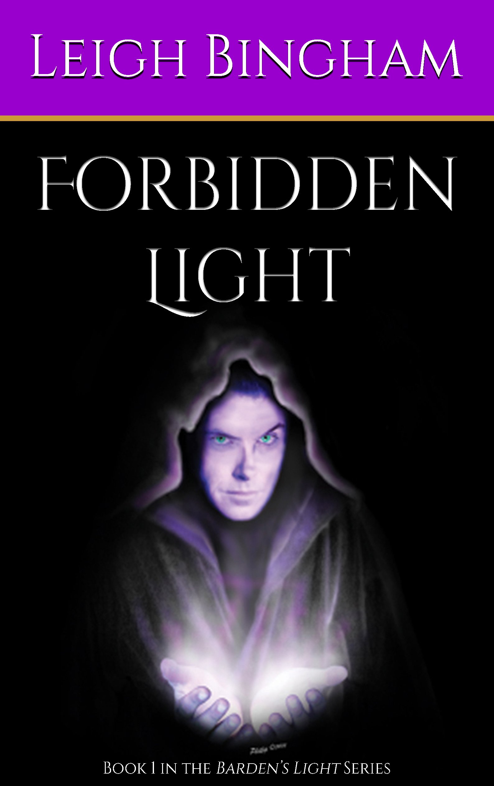Forbidden Light: Volume 1 (Barden's Light)