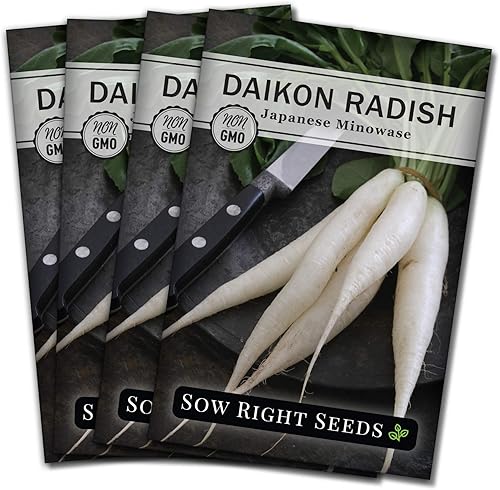 Miniatura 9 de Sow Right Seeds - Semillas de rábano japonés Minowase Daikon para plantar - Paquete de reliquia sin OMG con instrucciones para plantar un huerto