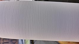 Review Image by Ryan r.