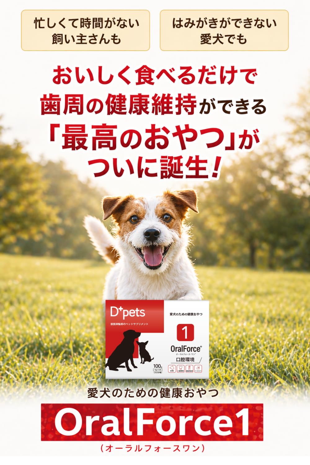 オーラルフォースワン 犬 おやつ 歯磨き 歯周病予防 口腔ケア
