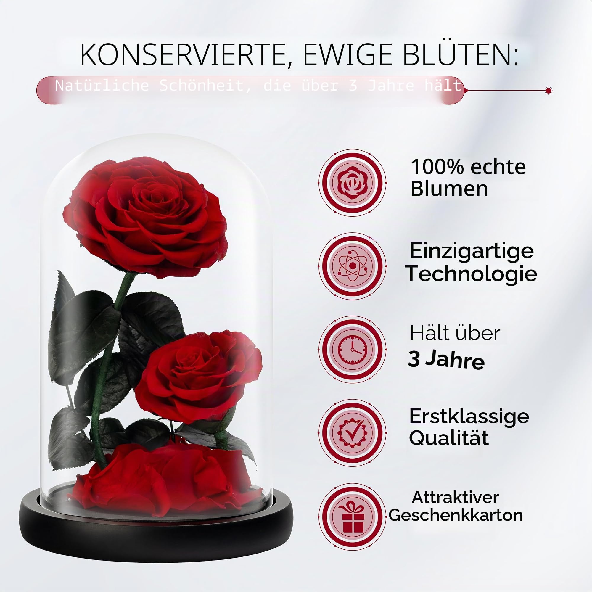 Ewige Blume in Glaskuppel: konservierte Rose Valentinstag, Muttertag, Geburtstag, Jahrestag, Hochzeit und Weihnachten