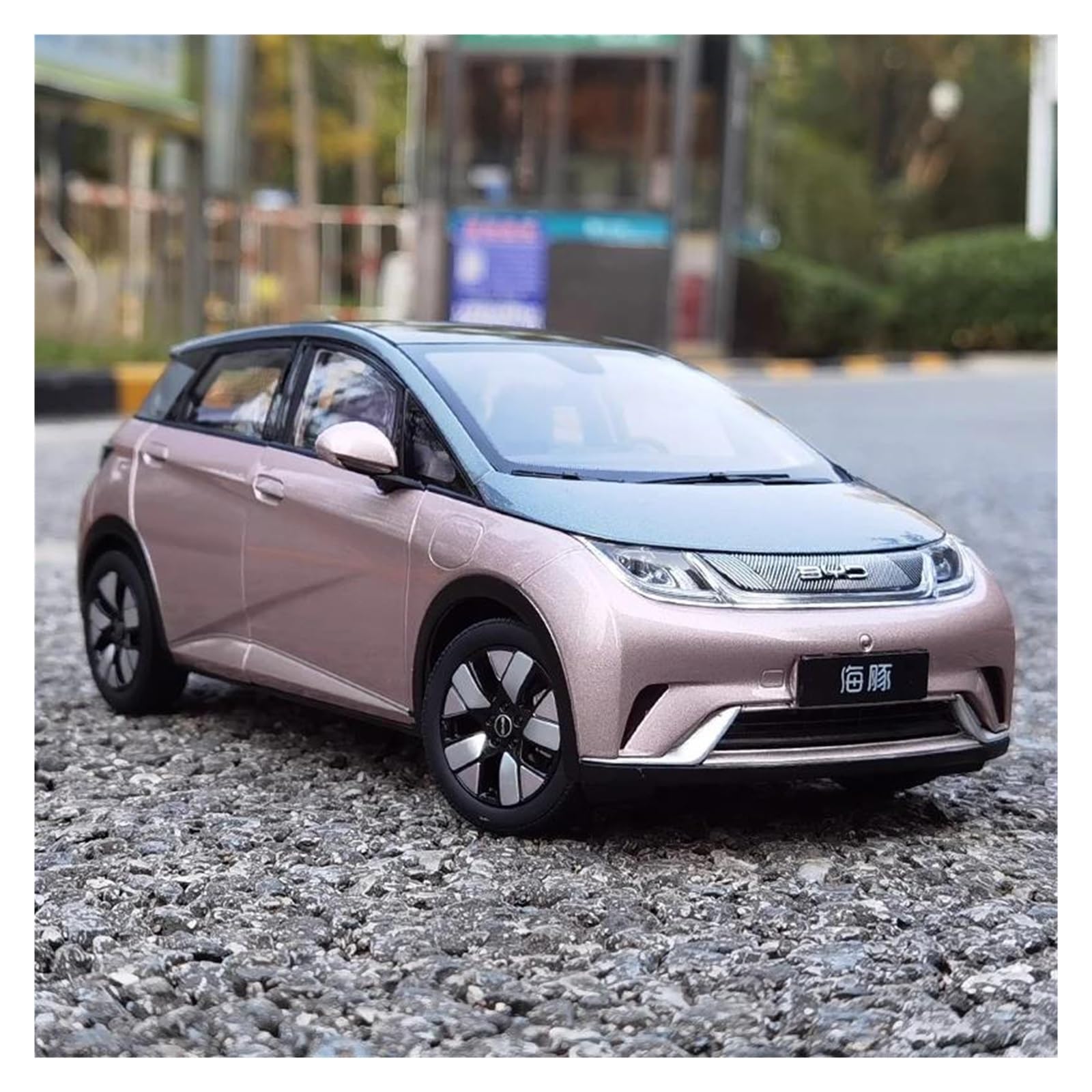 Amazon.com: MZAMOXZ 1 18 for BYD Dolphin 2021 Pure Electric Car