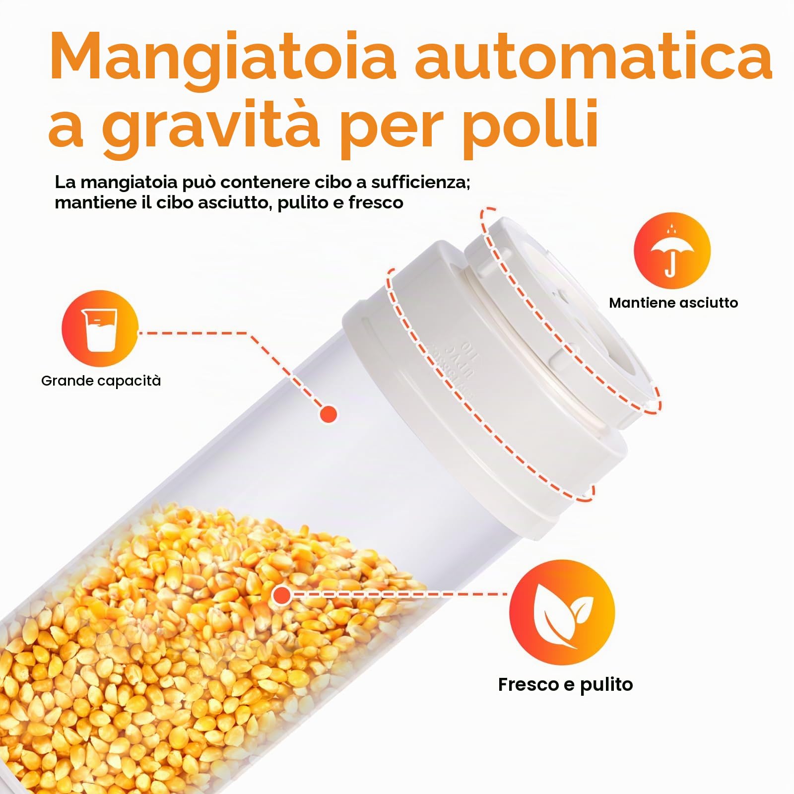 Mangiatoia Automatica per Polli, Tubo in Pvc da 4 Litri Alimentatore per Pollame Visibile e Senza Sprechi per Polli, Anatre, Tacchini e Oche