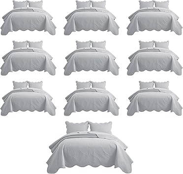 IR Imperial Rooms 10 Pack Queen Quilt Bedding Set (90" x 96") - Bulk Wholesale for Hotels, Guest Bedroom & Airbnbs - Lightweight Microfiber Reversible Floral Embossed Quilts Bedspreads (Silver)