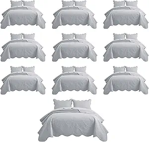 IR Imperial Rooms 10 Pack Queen Quilt Bedding Set (90" x 96") - Bulk Wholesale for Hotels, Guest Bedroom & Airbnbs - Lightweight Microfiber Reversible Floral Embossed Quilts Bedspreads (Silver)
