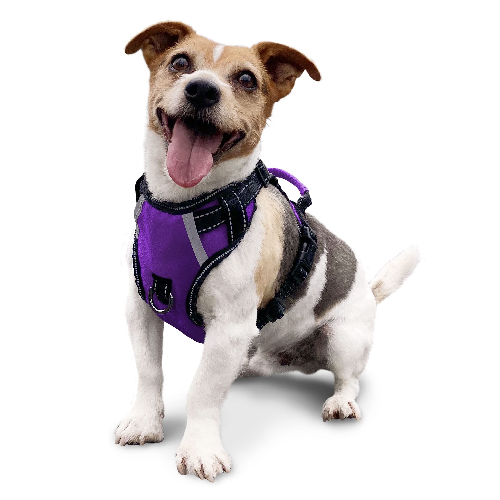 Puwihoe No Pull Dog Harness, Reflective Walking Dog Harness with Easy Control Handle and Front & Back Clips,Adjustable Breathable Soft Padded Dog Vest Harness for Jack Russell Terrier Dog,Blue,S — image 1
