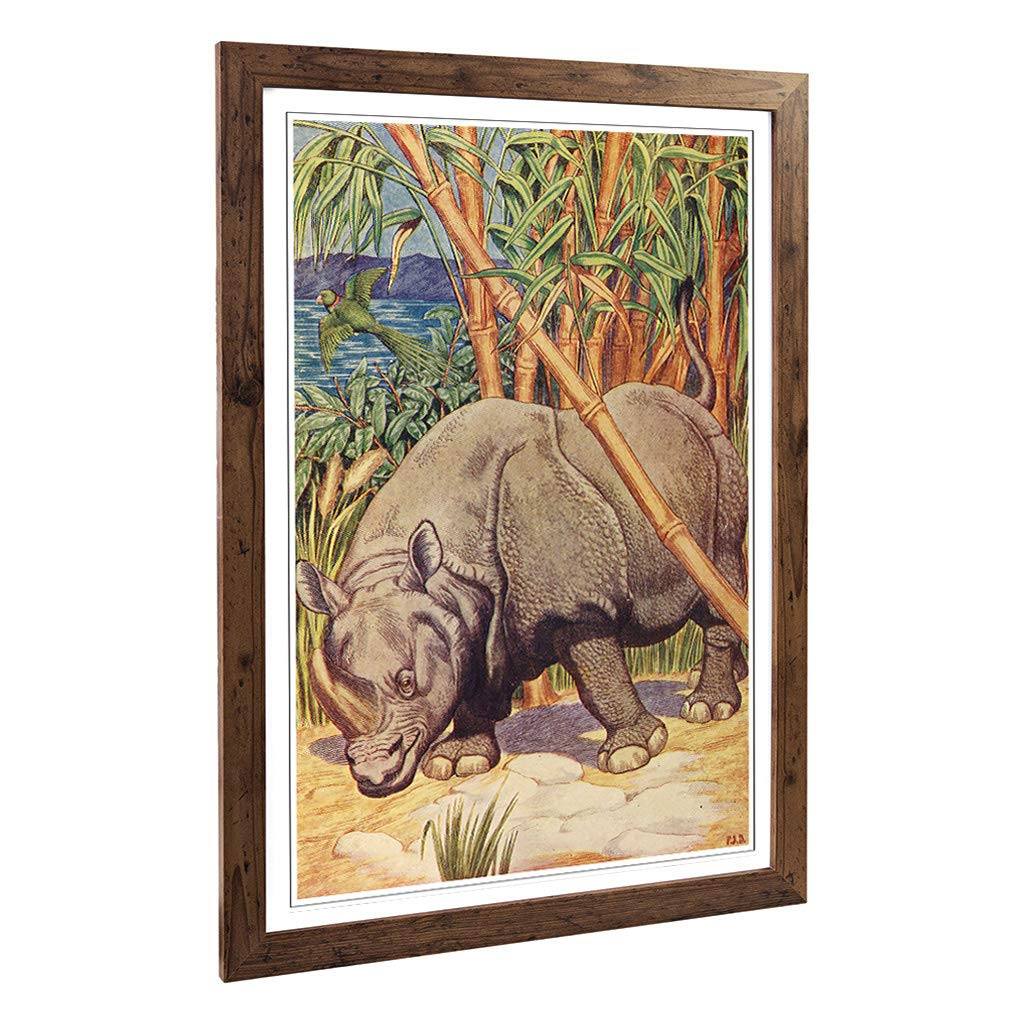 Big Box Art Framed Print of Vintage Percy J Billinghurst Rhinocerous Design | Wall Art Picture | Home Decor for Kitchen, Living Room, Bedroom, Hallway, Walnut, A2 / 24.5x18 Inch / 62x45cm