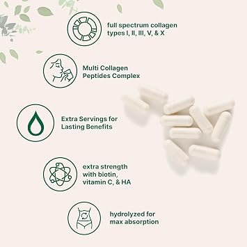 Micro Ingredients Multi Collagen Pills for Women & Men, 240 Capsules | Type I, II, III, V, X | Hydrolyzed Protein Peptides with Biotin, Hyaluronic Acid, Vitamin C Complex | Keto & Paleo Friendly