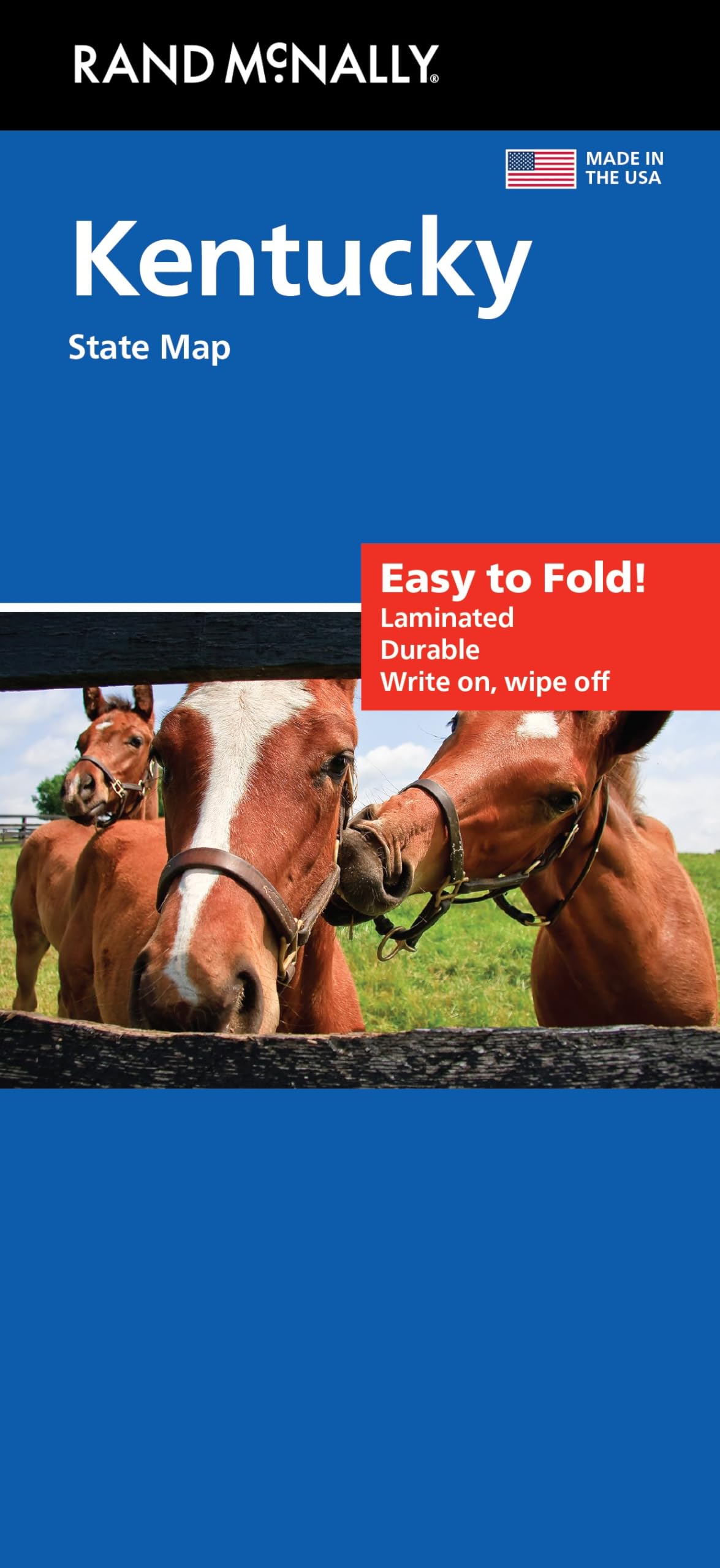 Rand McNally Easy to Fold: Kentucky Laminated Map