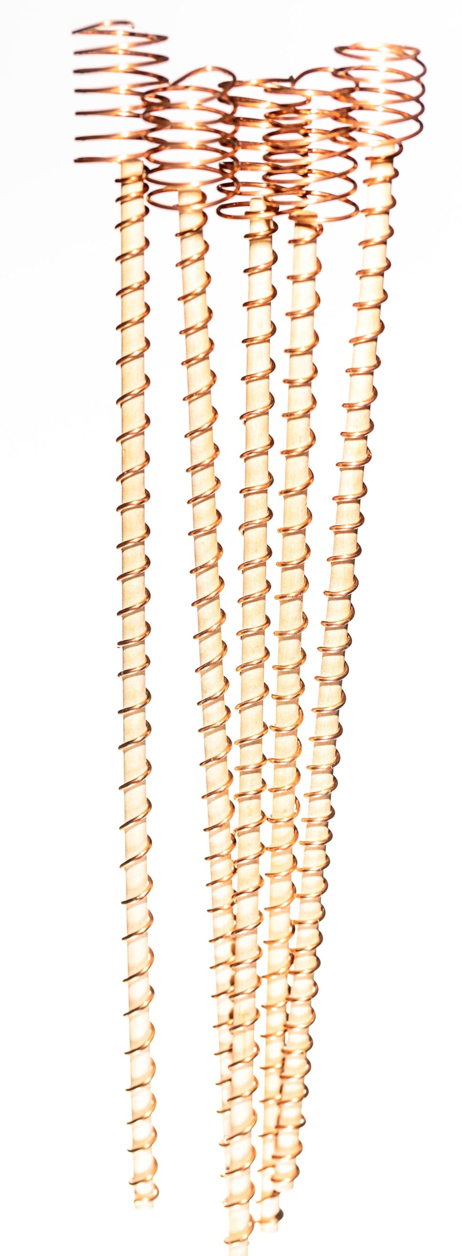 工芸品 Ty-growth 工芸品 Ty-growth 工芸品 Ty-growth Amazon | Electroculture Grows 12