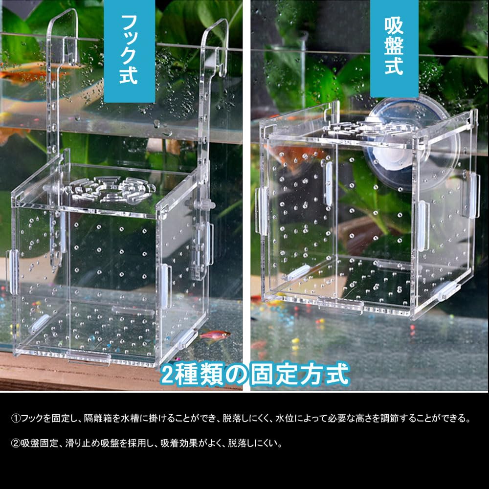 Amazon.co.jp: 稚魚 繁殖隔離ボックス 水槽 隔離ケース 産卵ケース