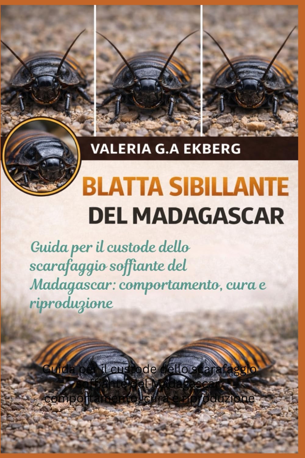 BLATTA SIBILLANTE DEL MADAGASCAR: Guida per il custode dello scarafaggio soffiante del Madagascar: comportamento, cura e riproduzione