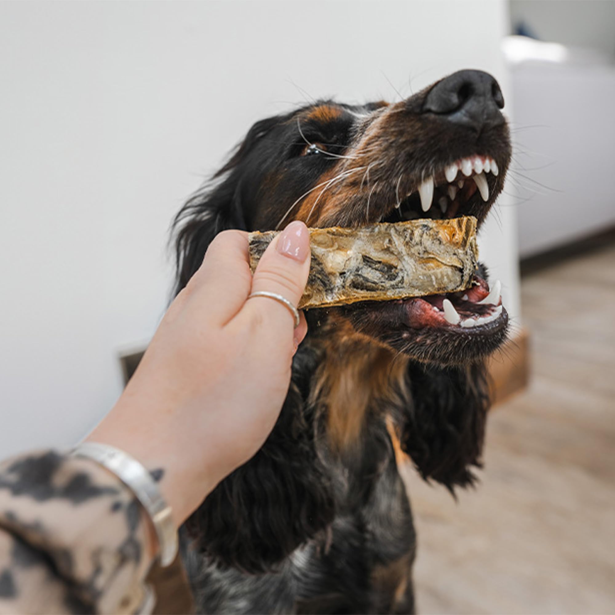 SKIPPER'S Baked Fish Skin Fingers for Dogs 1kg, 100% Natural & 100% Fish Skin Dog Treats, Hypoallergenic - Image 4