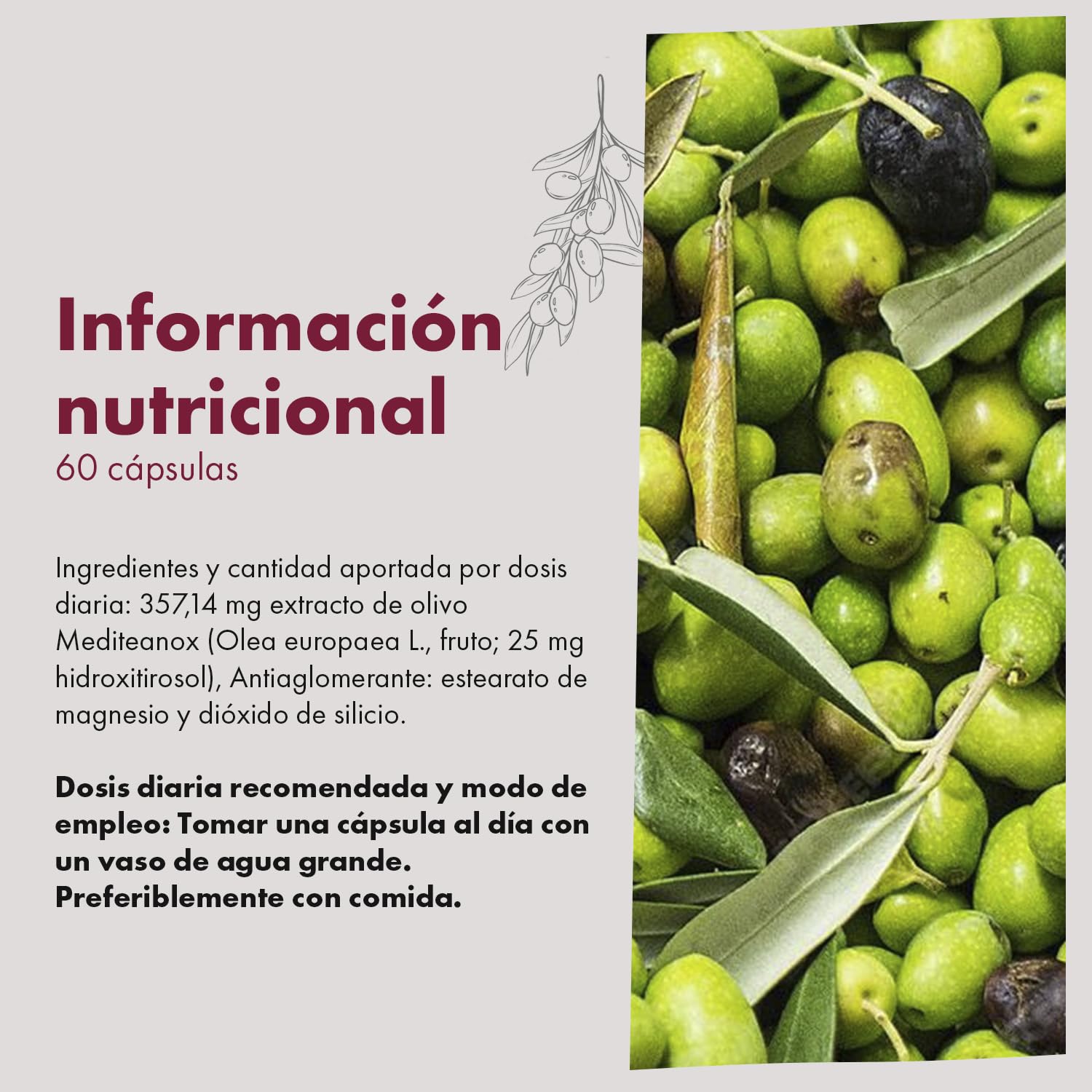 Granatum Plus - Hidroxitirosol Plus - Complemento Alimenticio - Extraído de Aceite de Oliva Virgen Extra - Suplemento Antioxidante - Bienestar General - Producido en España (2 Cajas de 60 cápsulas)