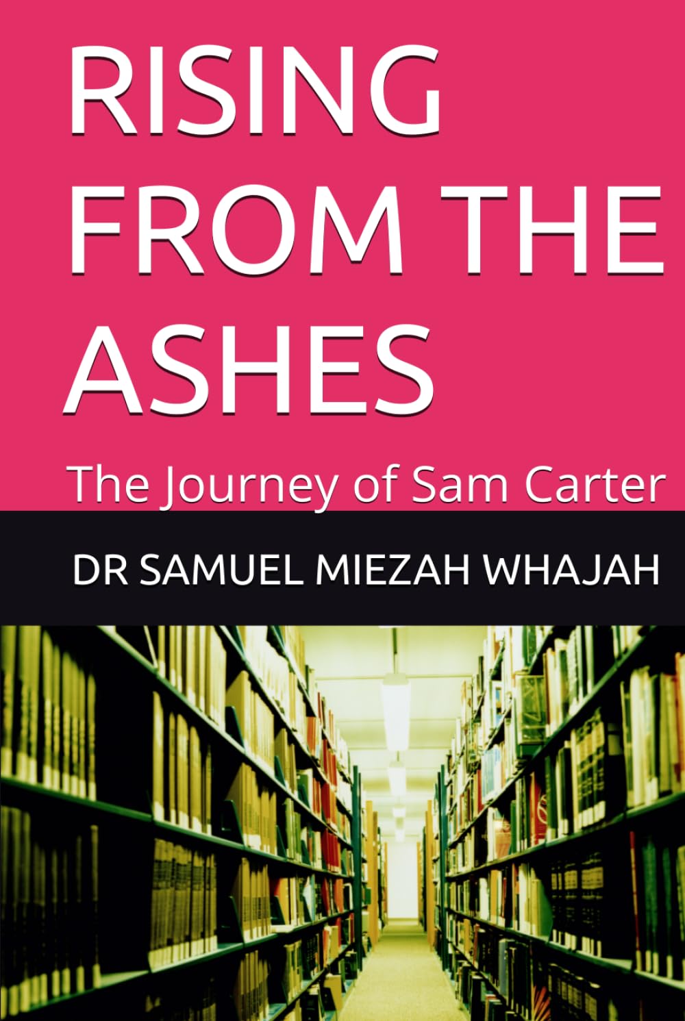 RISING FROM THE ASHES: The Journey of Sam Carter