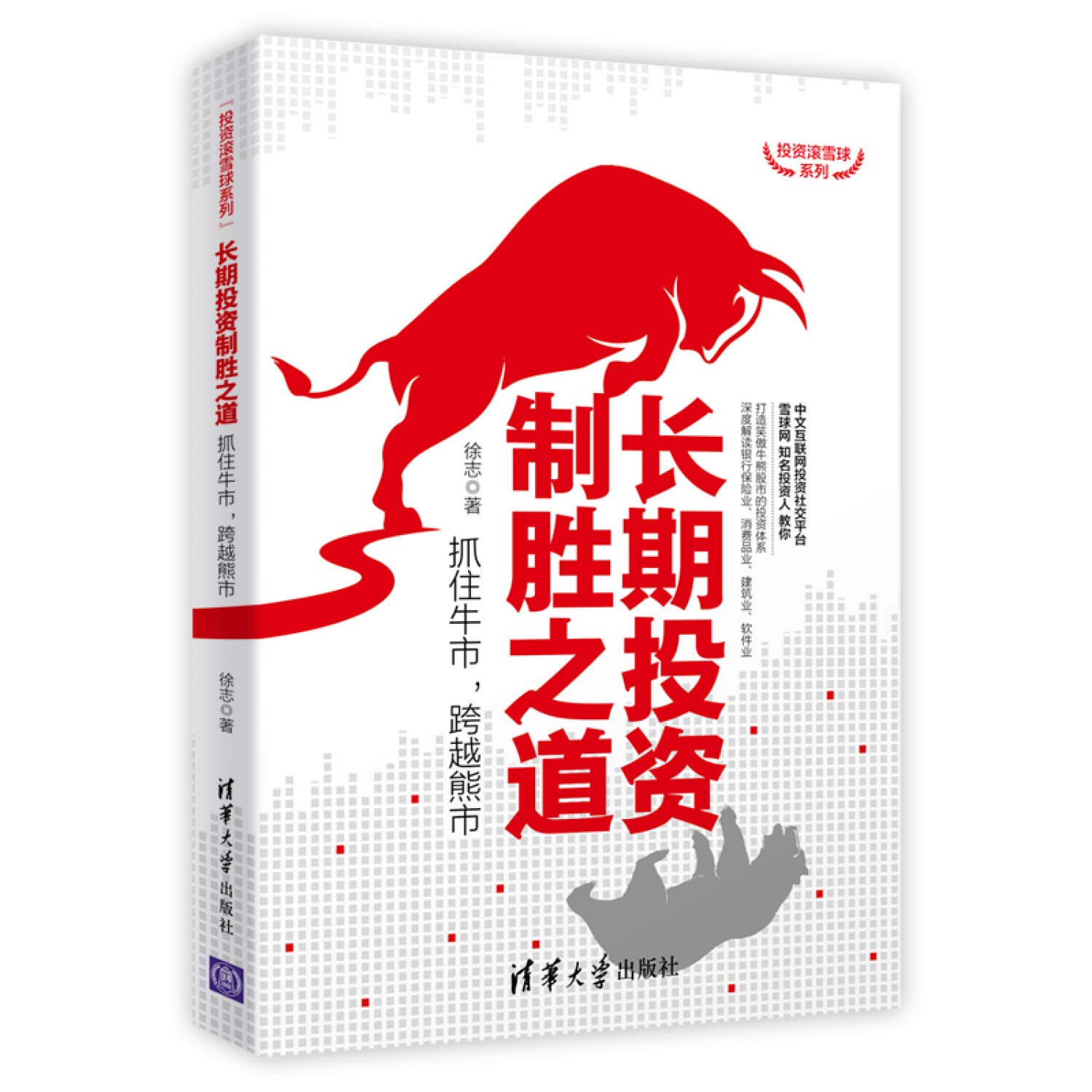 长期投资制胜之道：抓住牛市，跨越熊市（投资滚雪球系列） : Amazon.it: Libri