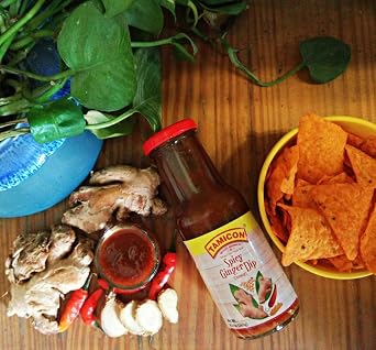 Tamicon Spicy Ginger Dip | Bold & Flavorful Indian Sauce with Tangy & Zesty Flavor | Perfect for Dipping, Cooking, and Marinades | 9.17 Oz (260g)