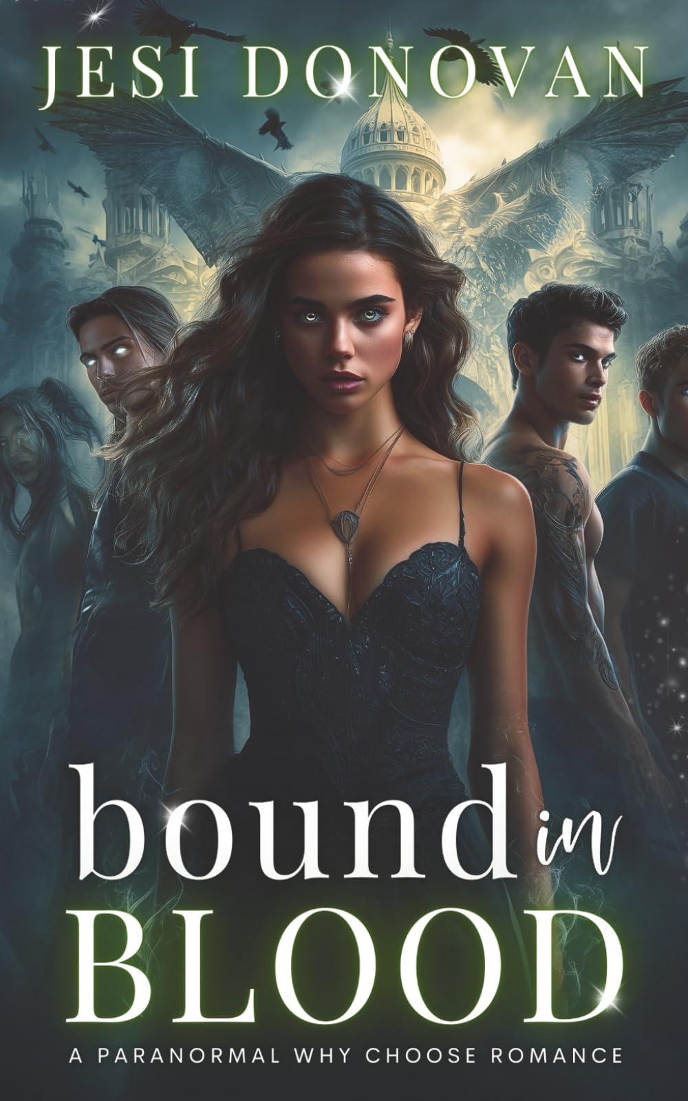Bound in Blood: A Paranormal Why Choose Romance (Academy of Ruin)