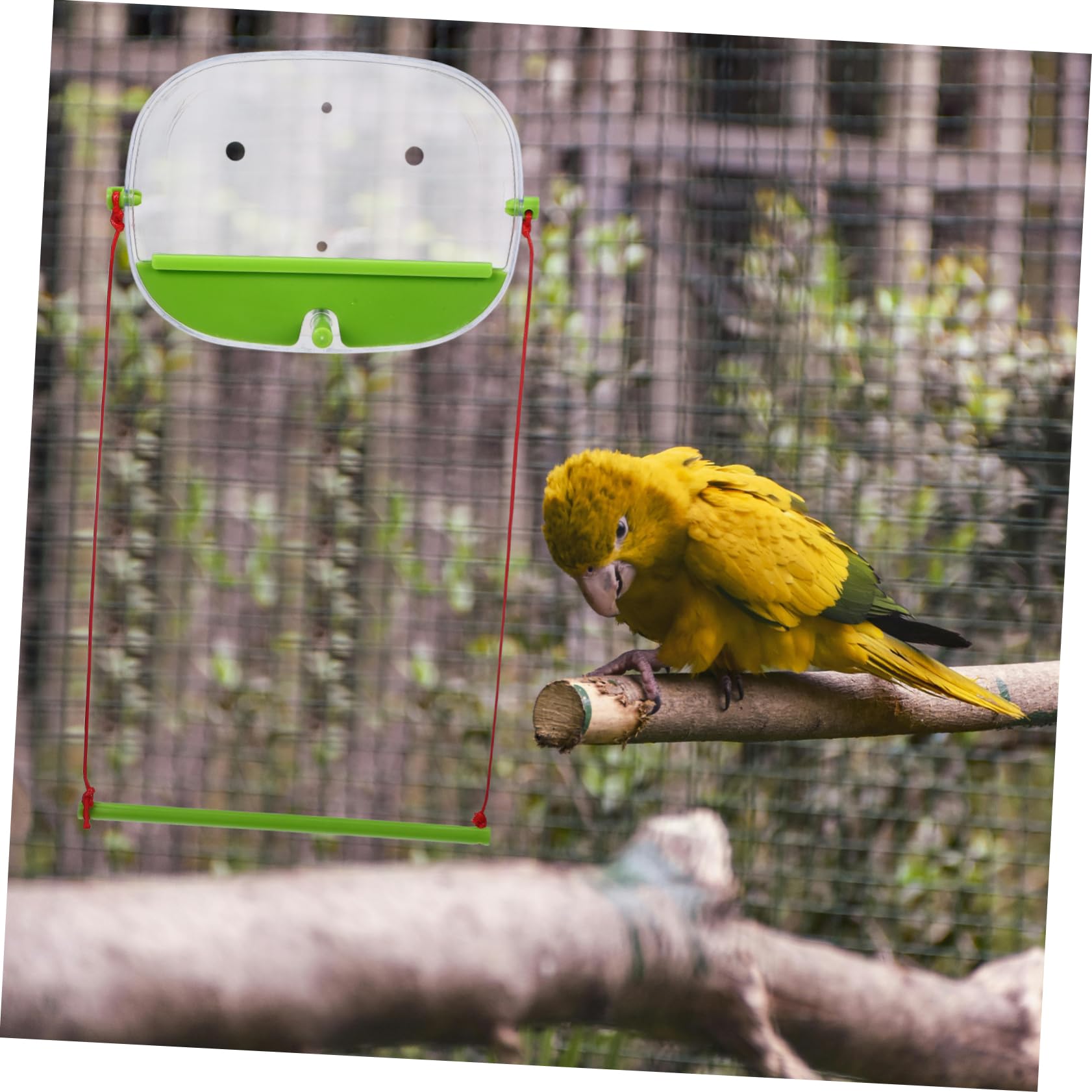 POPETPOP 3 Juegos Comedero para Pájaros Ventosa del Comedero del Colibrí De La Ventana Comederos De Pájaros De Ventana para Exterior Alimentador De Ventana Educación Física Green