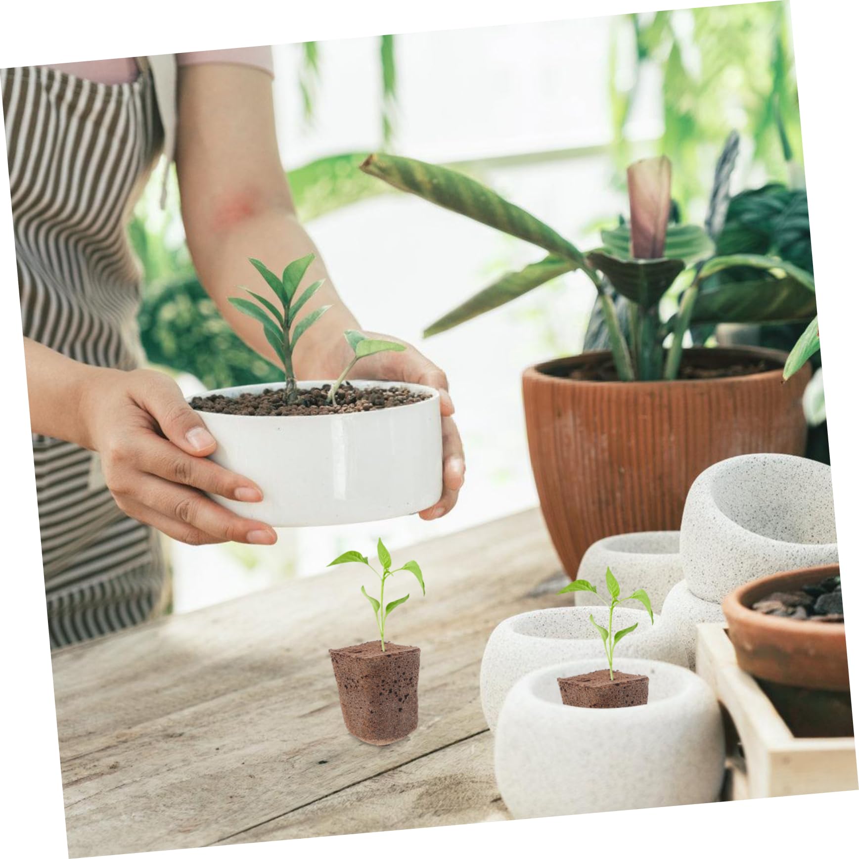 Sosoport 120pièces Bloc De Germination Hydroponique pour Plantes Cubes De Nutriments Et Propagation Support De