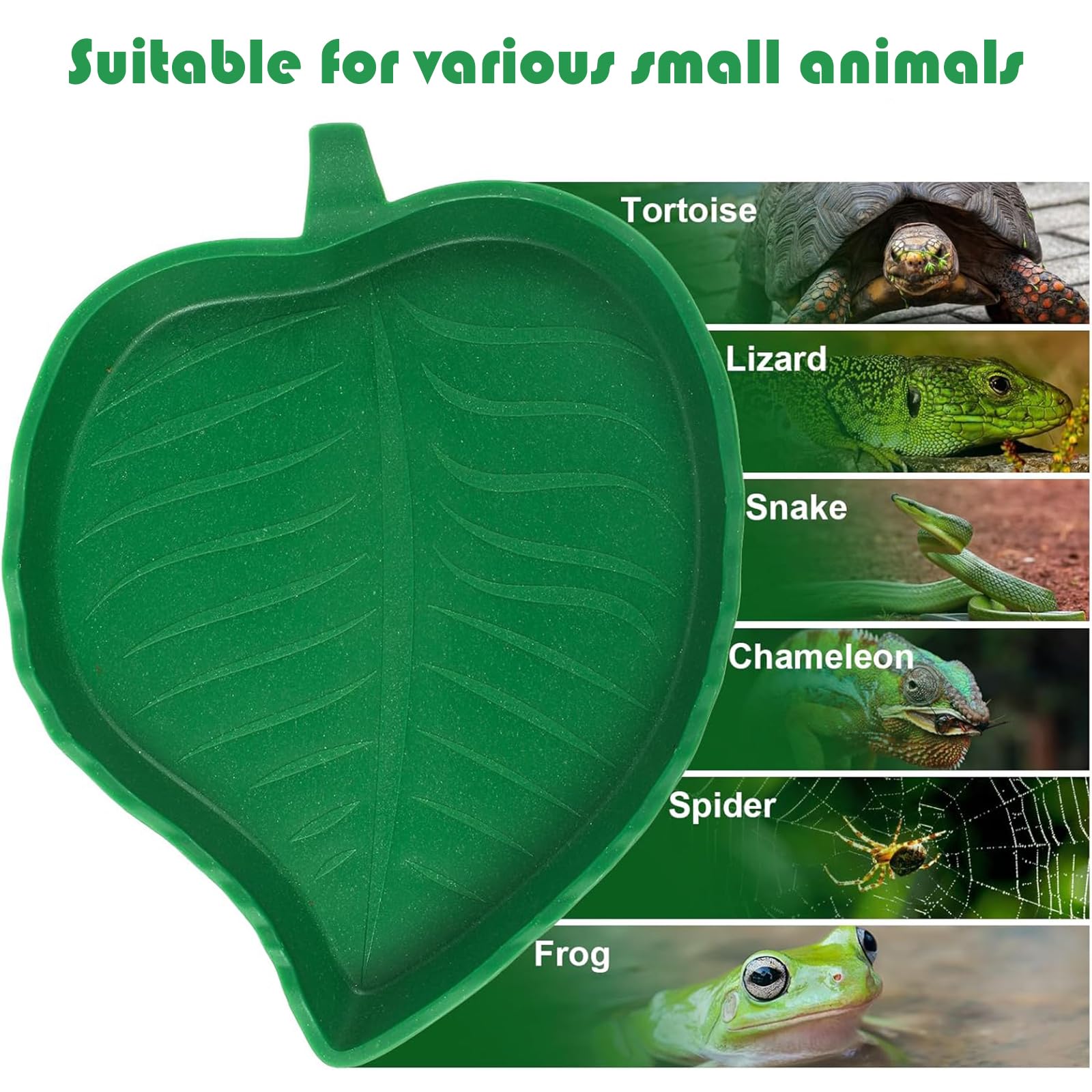 KABASI 2 platos de agua para reptiles con pinzas, accesorios de hábitat de reptiles, cuenco de comida, plato de alimentación para mascotas, para tortuga, maíz, serpiente, dragón barbudo, serpiente