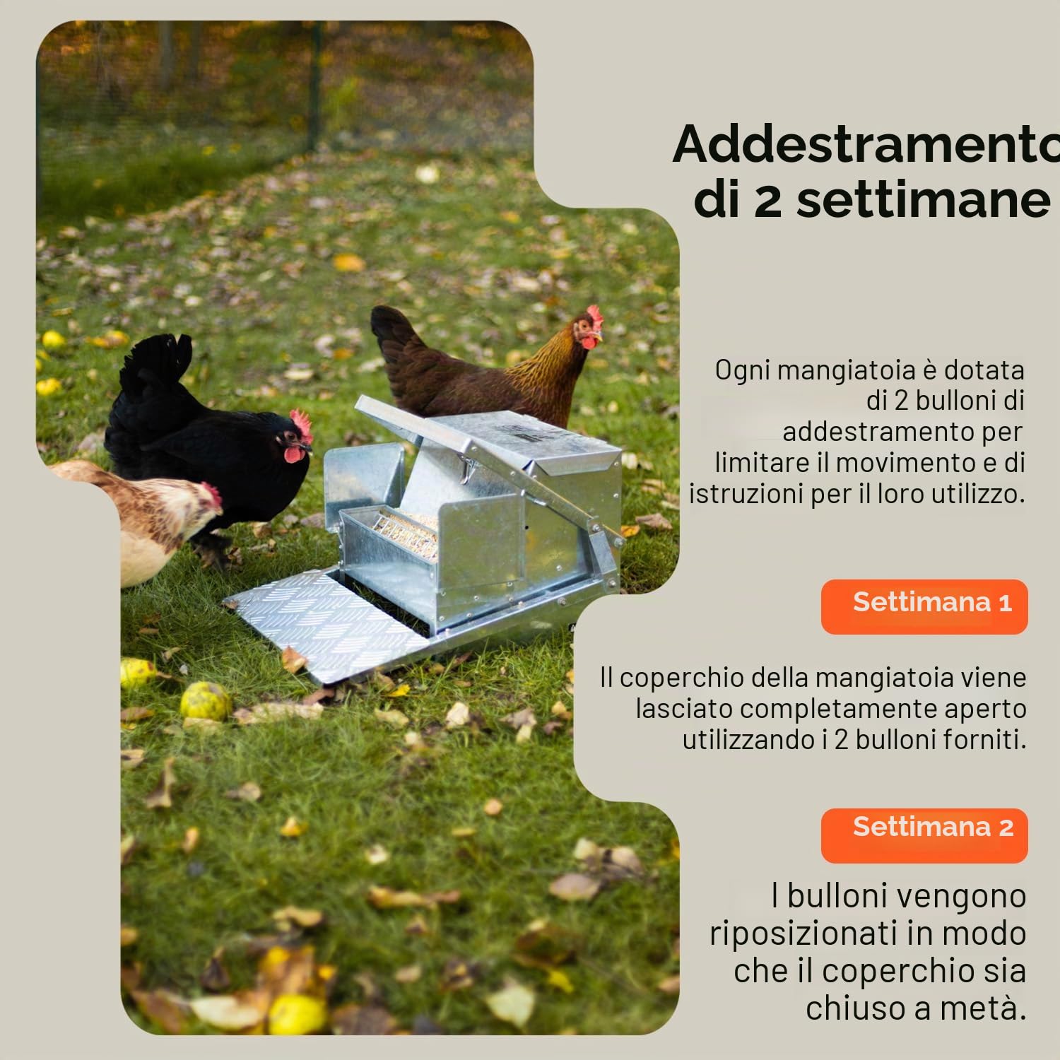 SuperHandy Mangiatoia per polli Mangiatoia per polli automatica con capacità di 9 kg Mangime 6-12 pollame/pollame Fino a 10 giorni Mantieni asciutto