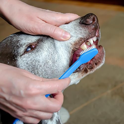 Miniatura 2 de Kit de cepillado de dientes de perro de 10 piezas, cepillo de dientes para mascotas de doble cabeza, cepillo de dientes multicolor para gatos,