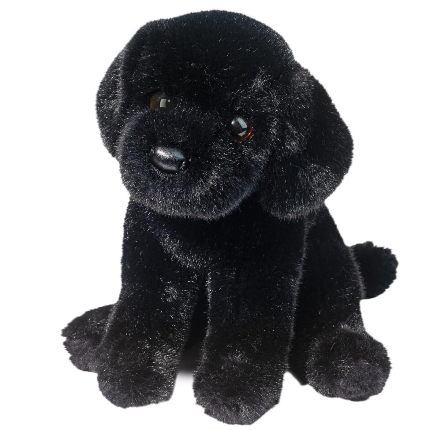 Czarny szczeniak labrador retriever od Douglas