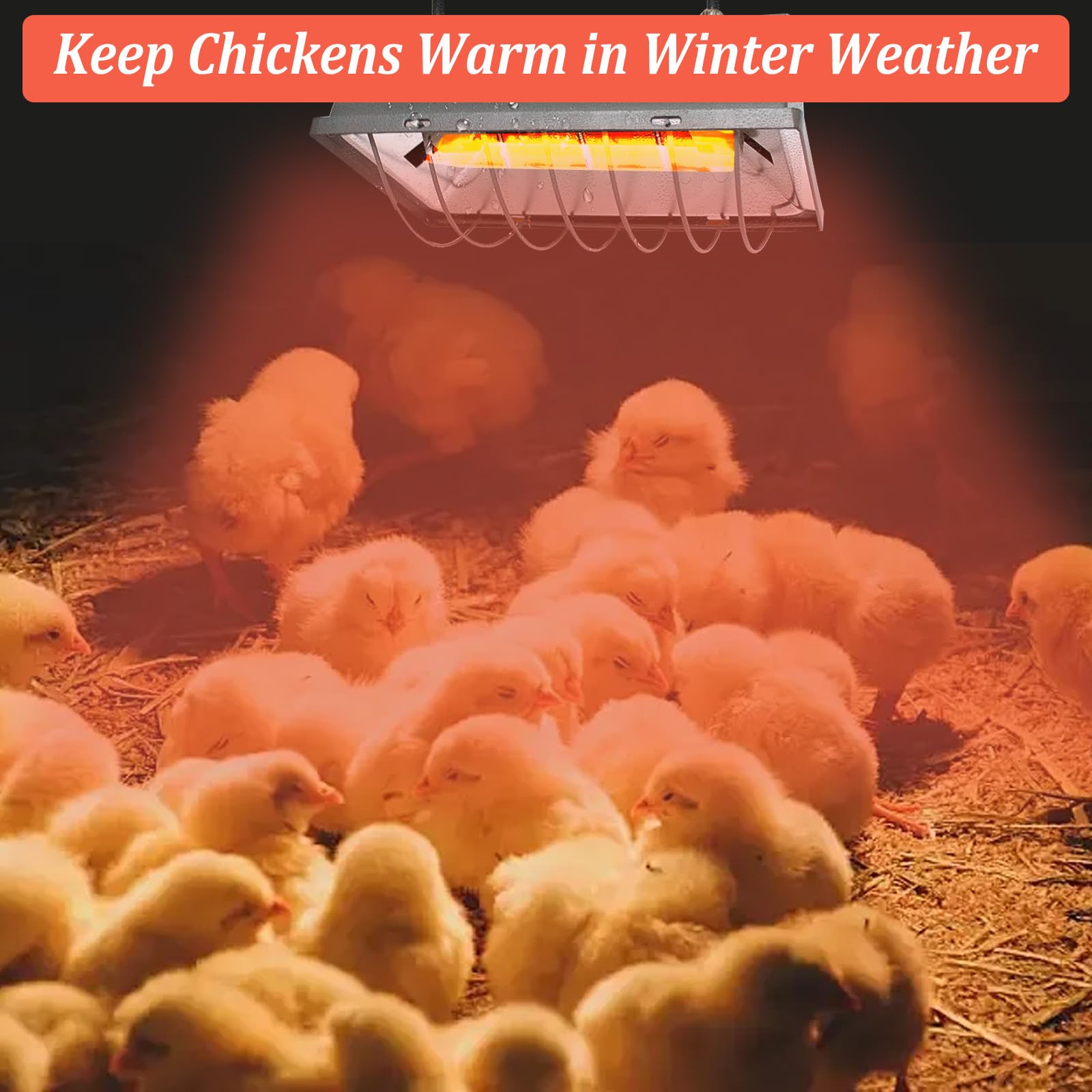 Lampe chauffante pour poussins, 250 W, avec interrupteur économique et câble d'alimentation de 1,8 m, lampe infrarouge thermostatique automatique pour poules, canards, porcelets, chiots, bétail