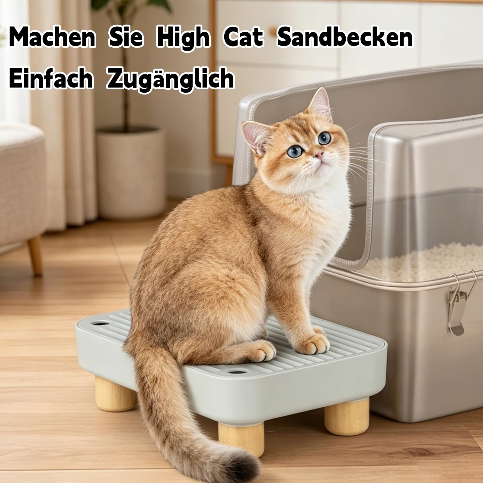 Katzenklo Rampe, Erhöhte Katzentreppe für Alte Katzen, 11.8×7.9×3.6 in Katzenklo Oben Einstieg für Kätzchen & ältere Katzen