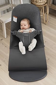 Amazon.com : BabyBjörn Bouncer Bliss, Charcoal Gray, 3D