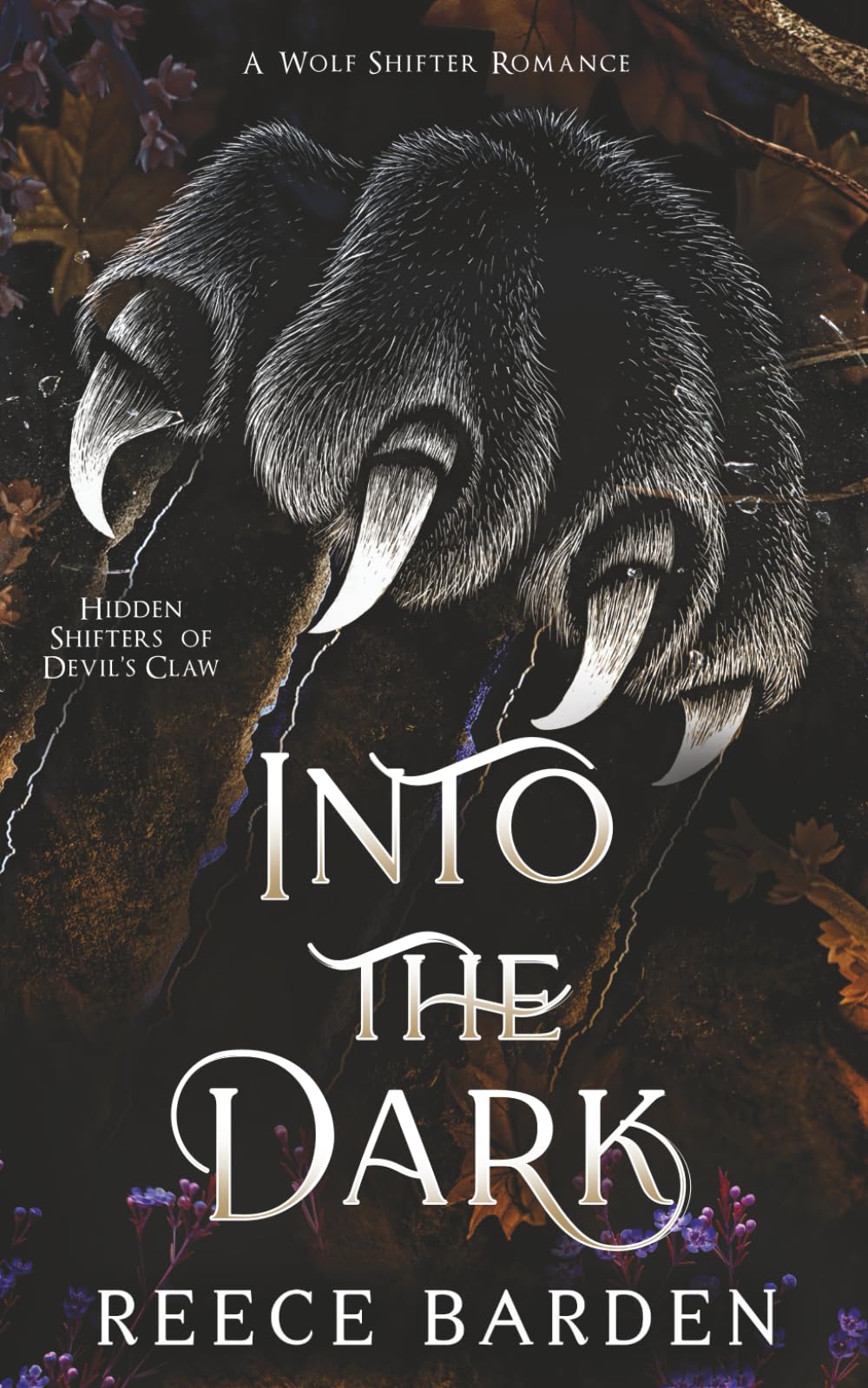 Into the Dark: A Monster Romance (Hidden Shifters of Devil's Claw)