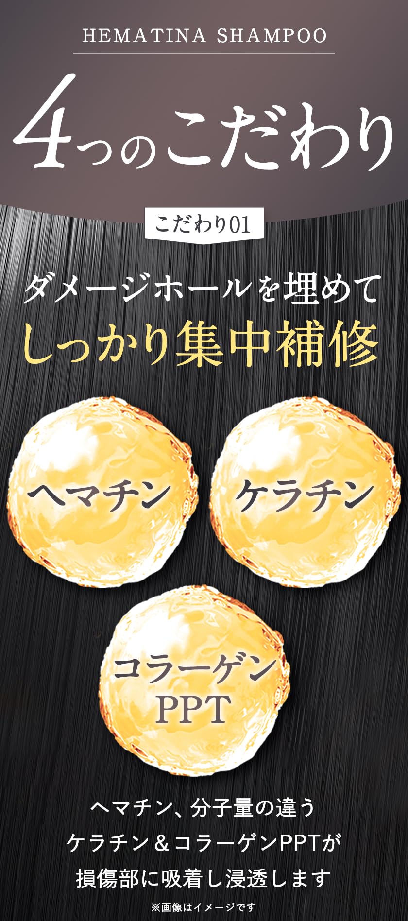 新品★未使用品★限定品キャロリーヌ ヘマチナシャンプー&ヘアパック 大容量セット Amazon | キャロリーヌ ヘマチナシャンプー(310ml)※ヘマチン配合