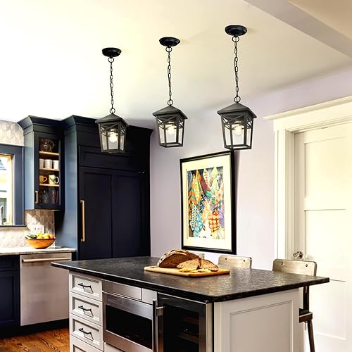 Miniatura 2 de FAINCHE Luces colgantes para exteriores para porche, grandes lámparas colgantes exteriores negras con pantalla de vidrio transparente para patio,