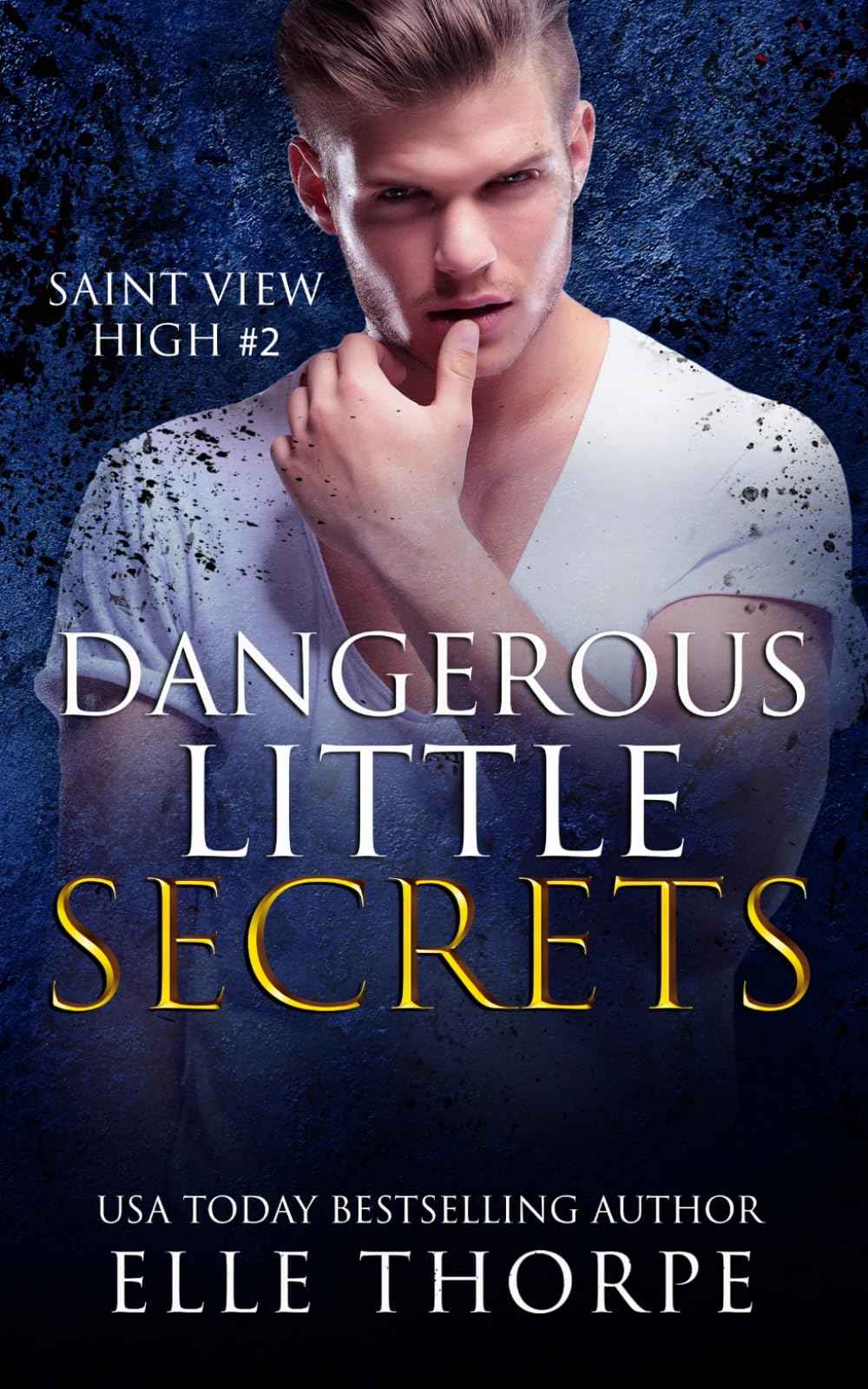 Dangerous Little Secrets: A Reverse Harem Bully Romance (Saint View High)