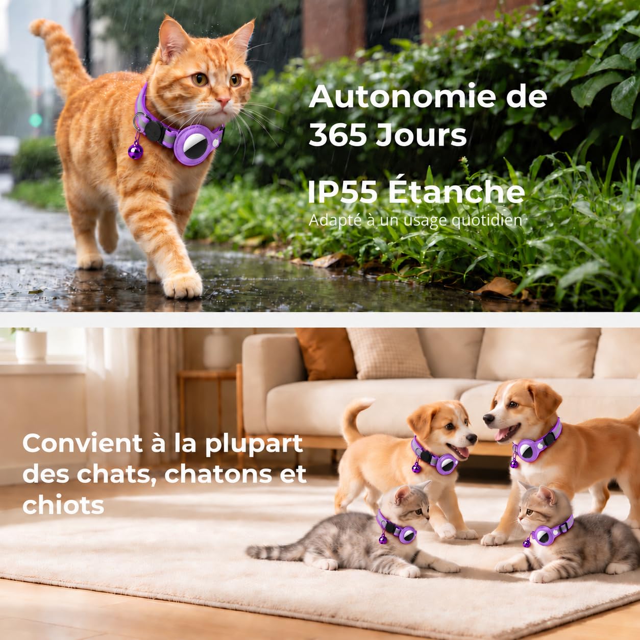 Localizzatore GPS per Gatto, GPS per Cani e Gatti Senza Abbonamento