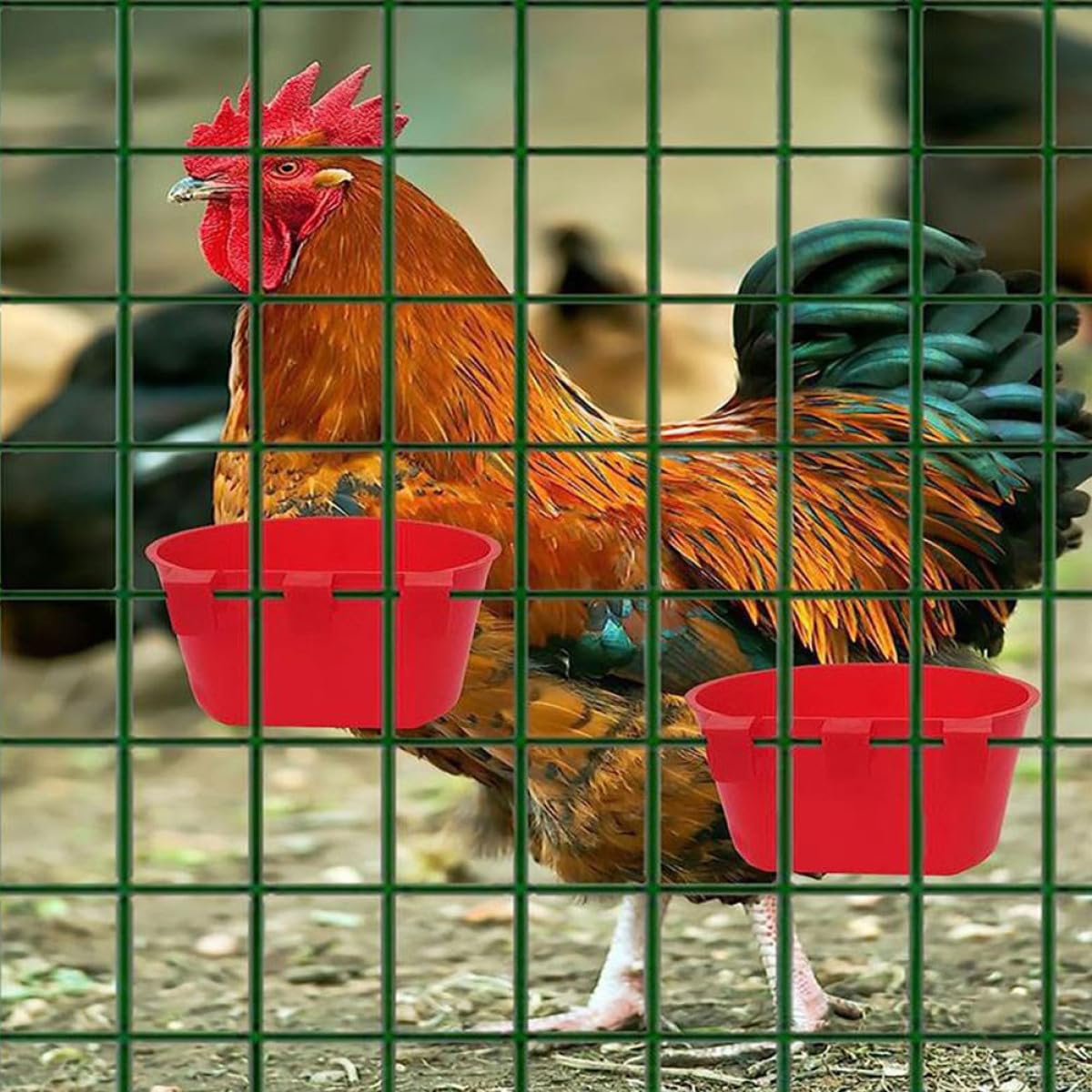 TOYANDONA 30 Comederos para Jaulas de Pájaros de Plástico PP Resistentes al Desgaste, Cuencos Colgantes Versátiles para Alimentación en Interiores y Exteriores