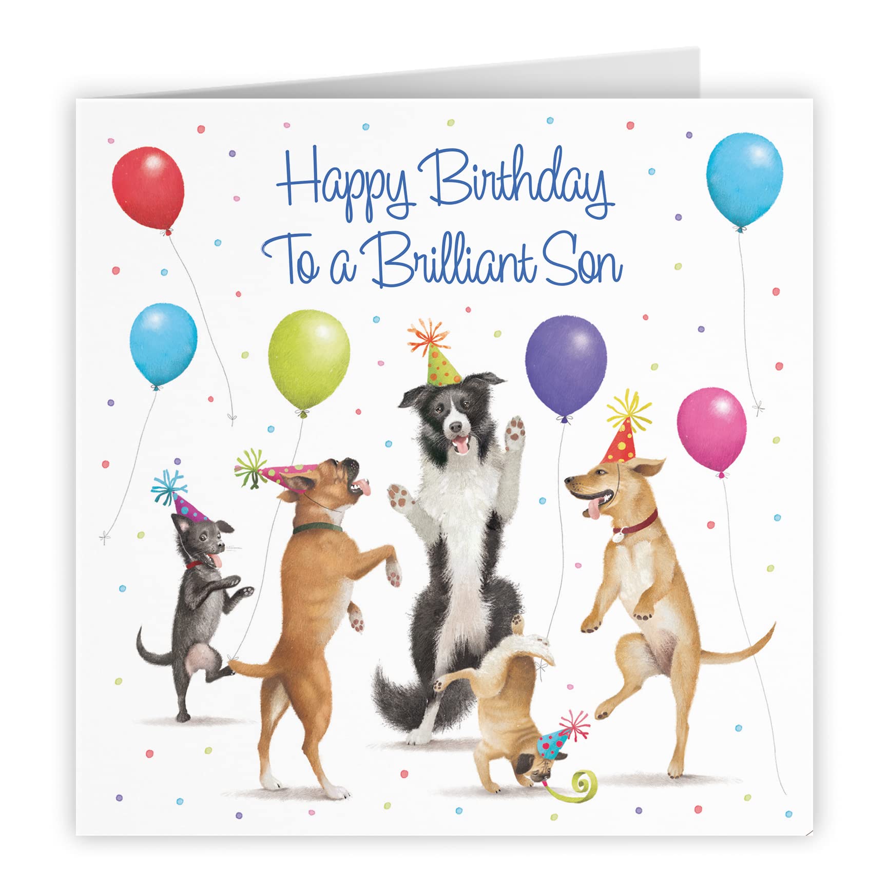 Biglietto Di Compleanno Hunts England Per Figlio 25 Anni – Design Badgers Milo's Gallery – Divertente E Di Lusso - 3