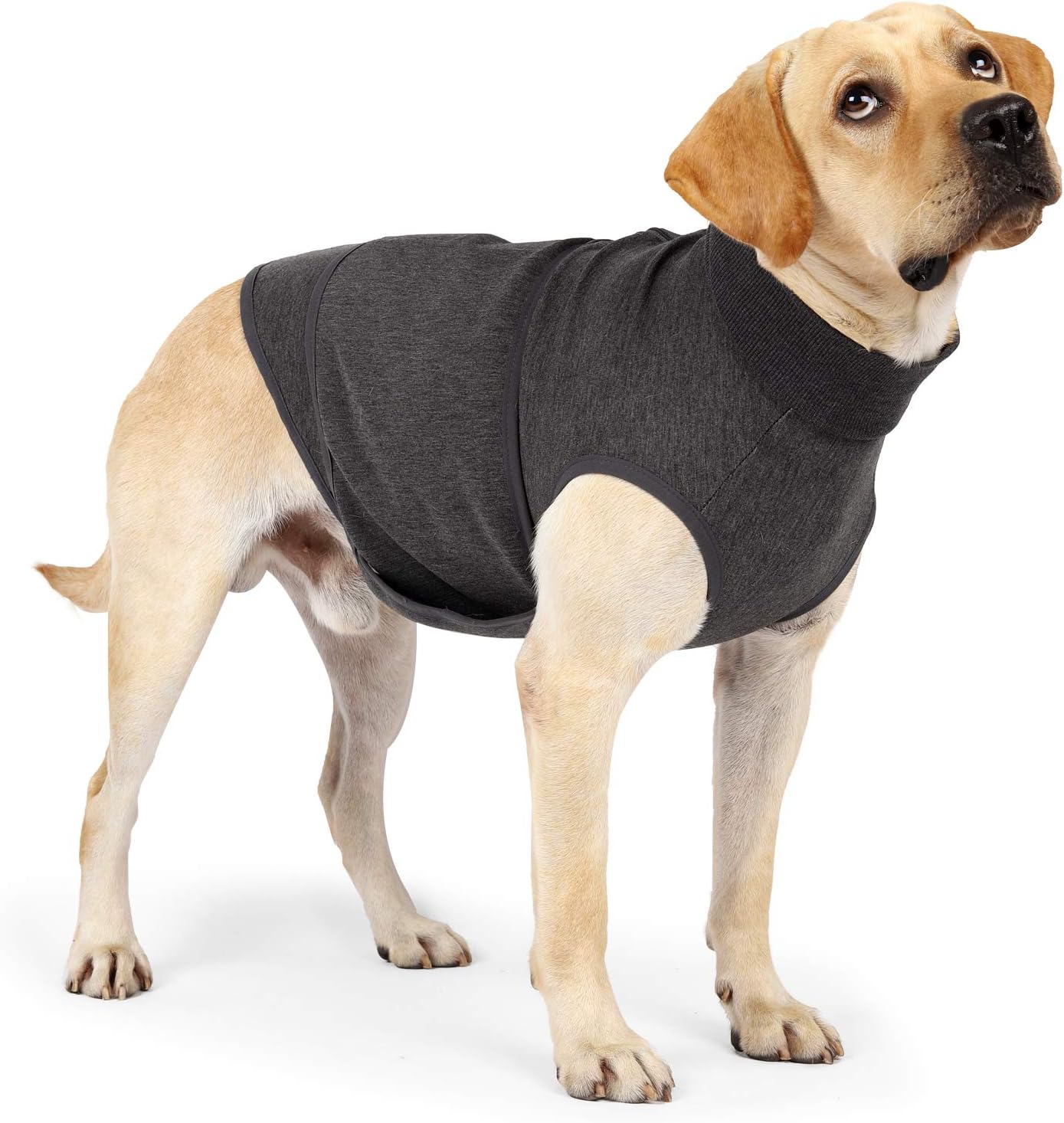 LIANZIMAU Dog Anxiety Jacket Coat, Vet Recommended Calming Soft Breathable Anxiety Vest Wrap Shirt Relief Stress for Keeping Dogs…