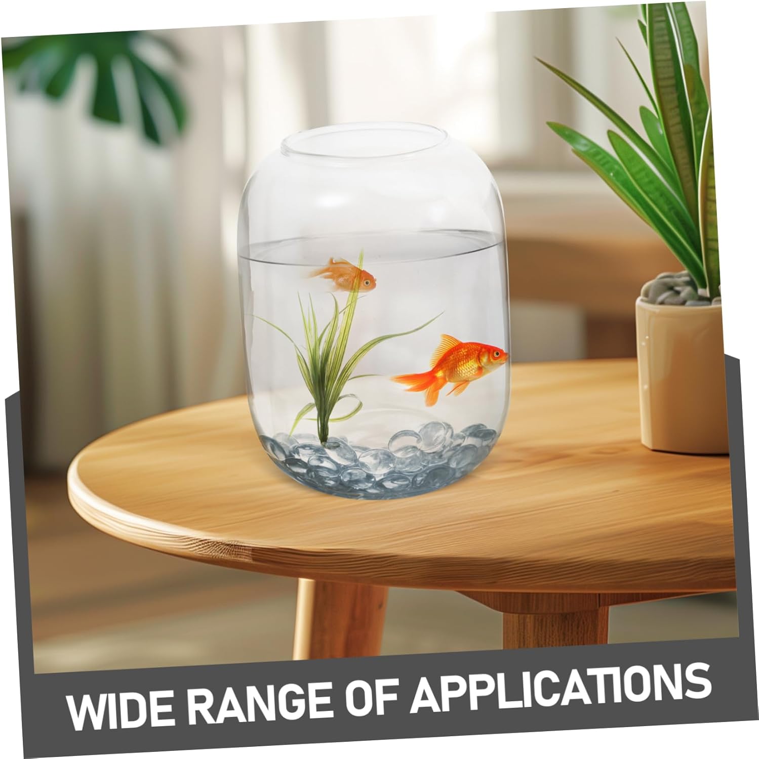 Clear Glass Plant Container for Indoor Gardening Decorative Round Vase for Terrariums Plant Growth for Home Office Wedding and Patio Decor