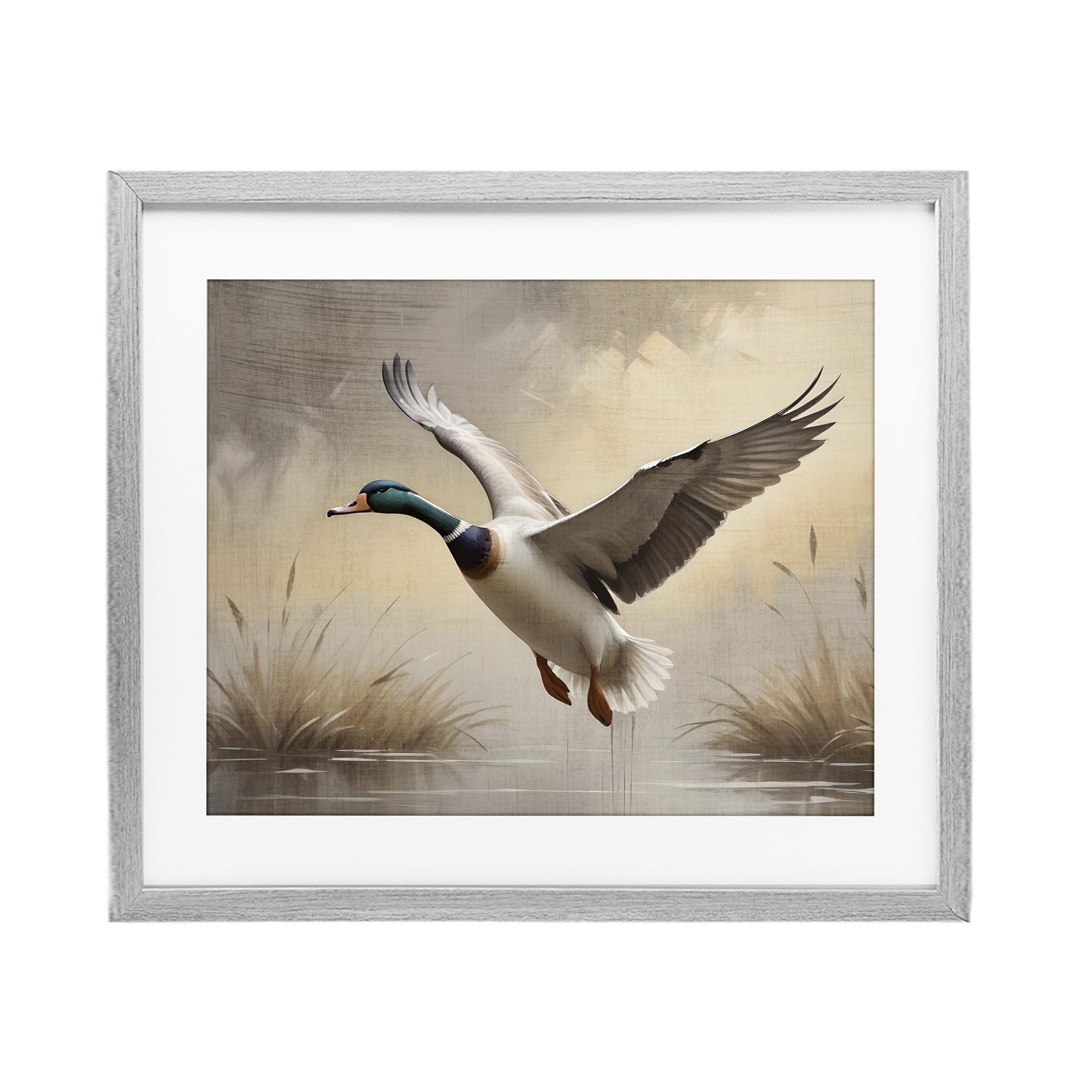 Stupell Industries 'Gliding Mallard over Wetlands', Framed Print Under Glass, Gray, 16 x 13 Inches, Easy to Hang and Sturdy, Made in USA, by Susan Arnot